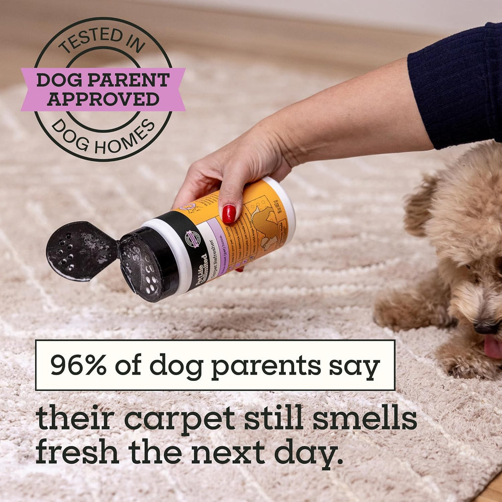 Carpet Deodorizer Powder, 16 Oz, Strong Pet Odor Eliminator 