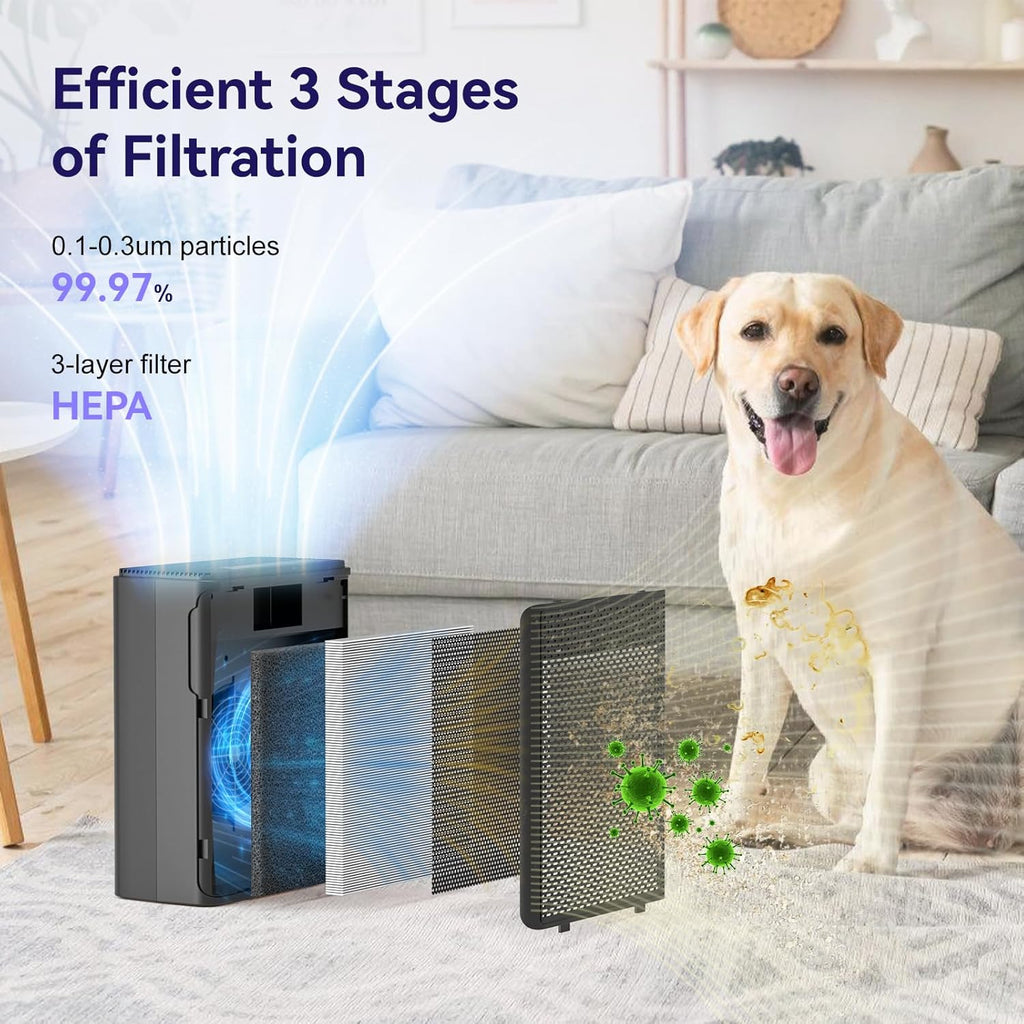 H13 HEPA Air Purifier for Pets & Large Rooms