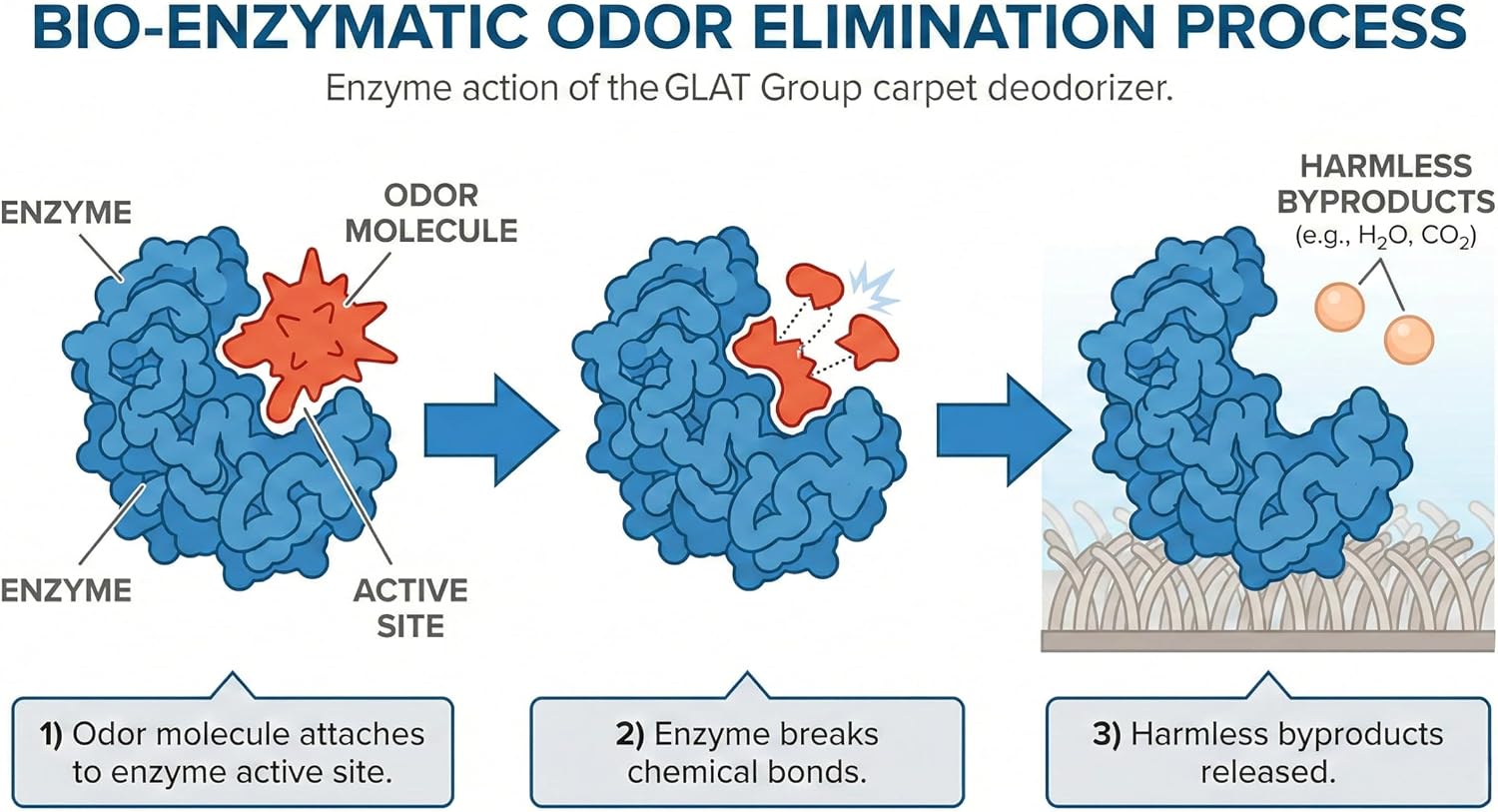 Enzyme-Powered Carpet Deodorizer (Powder)
