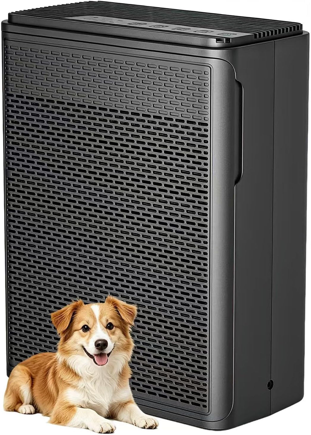 H13 HEPA Air Purifier for Pets & Large Rooms