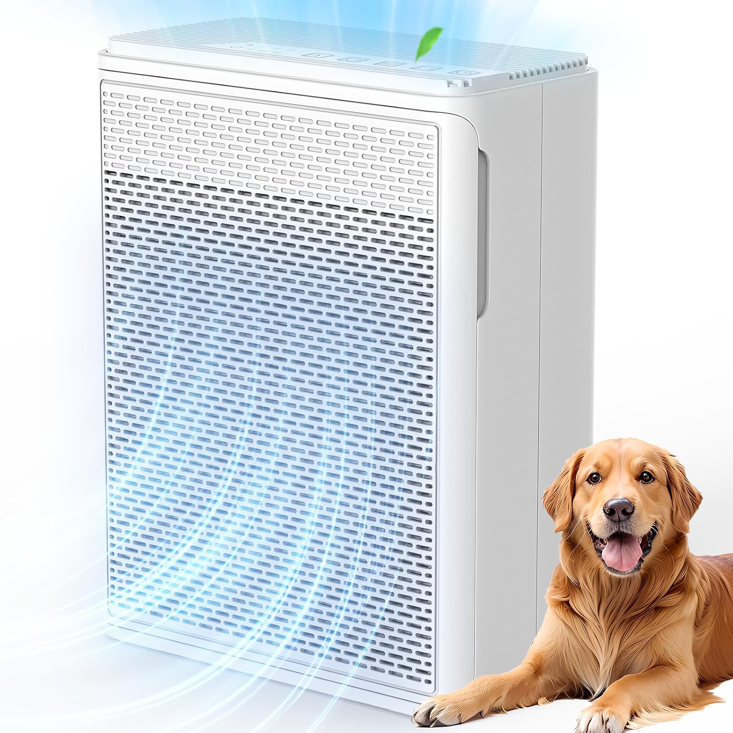 H13 HEPA Air Purifier for Pets & Large Rooms