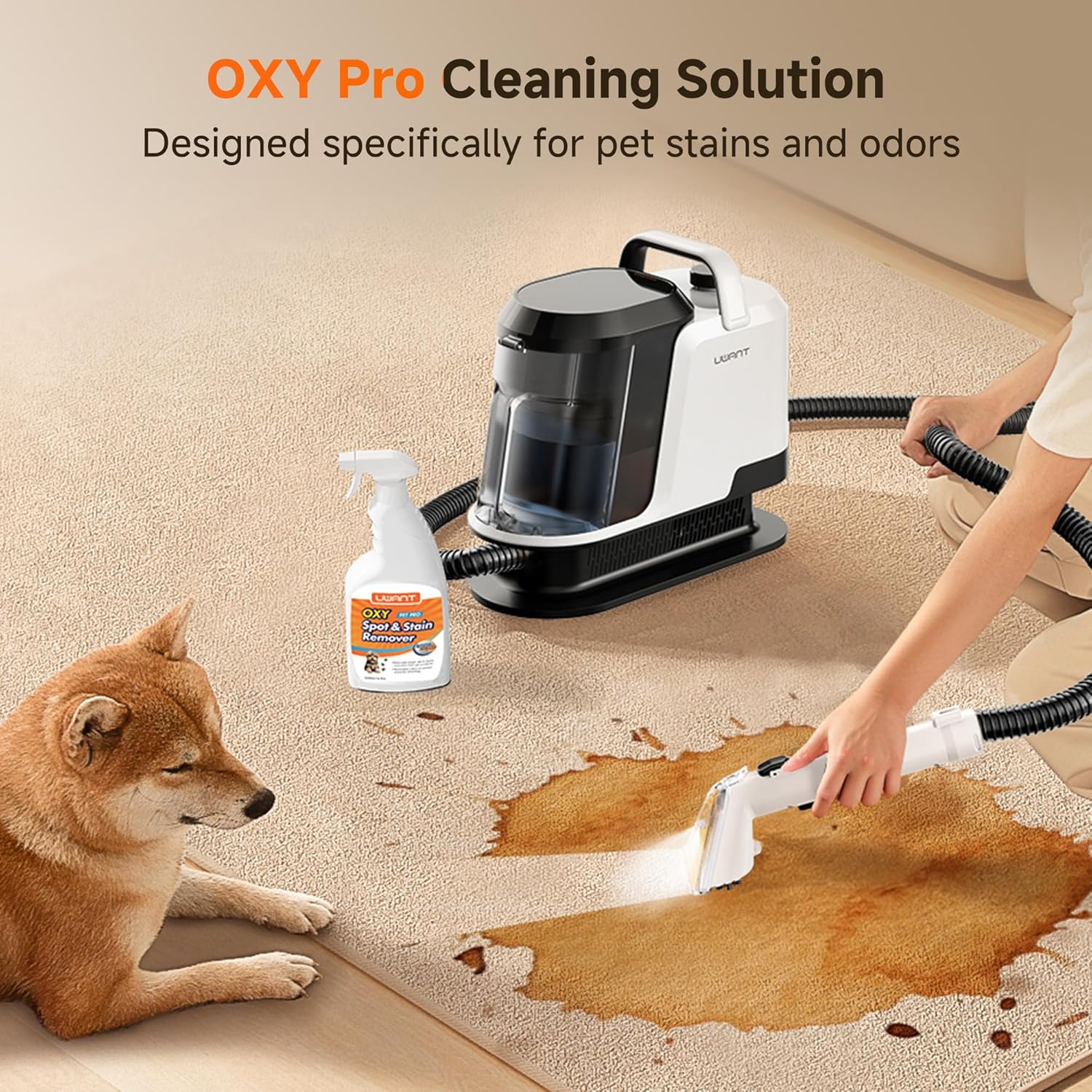 Upholstery Portable Carpet Cleaner Machine for Pets with Pet Pro Solution 